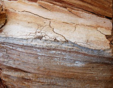 Kahverengi ahşap doku. Üst görünüm tahta paneli, boş şablon