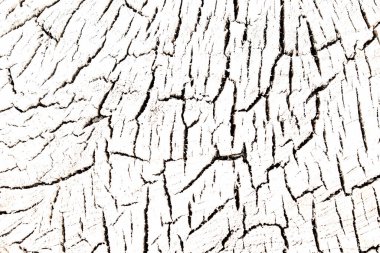 Hafif ahşap arka planda çatlaklar. Eski kütük dokusu.