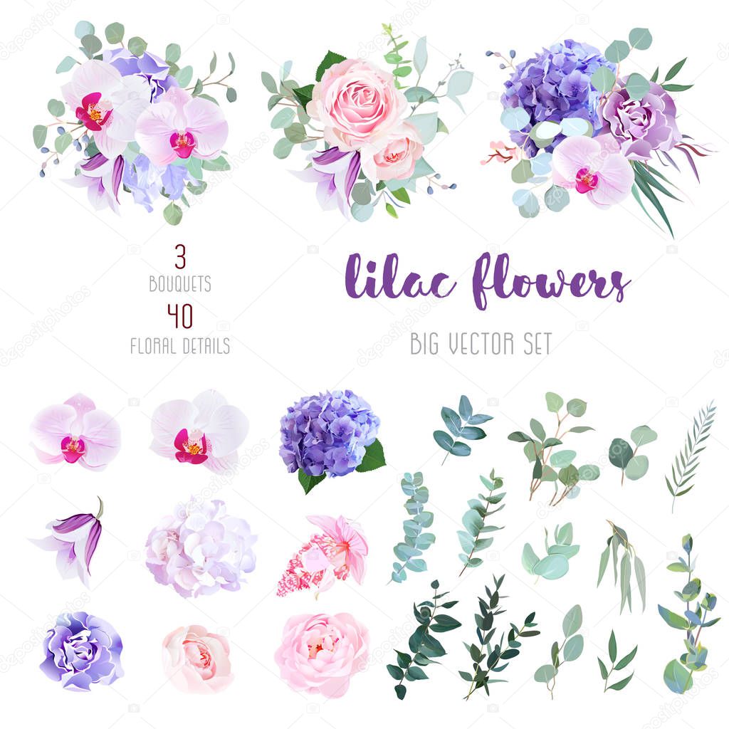 Flowers and mix of greenery big vector collection