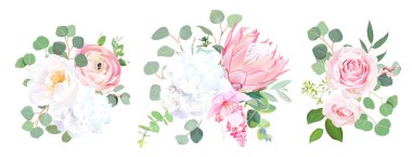 Pembe protea, Düğünçiçeği, gül, medinilla, beyaz ortanca, seede