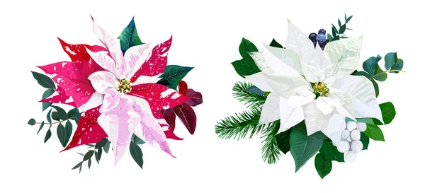Mazzi di fiori di Natale disposti da poinsettia rossa e bianca, abete b — Vettoriale Stock
