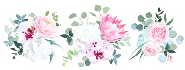 Pembe protea, Düğünçiçeği, gül, benekli orkide beyaz ortanca, okaliptüs, yeşillik vektör tasarım buketleri. Güzel kış düğün çiçekleri. Sulu boya tarzı. Tüm öğeleri izole ve düzenlenebilir