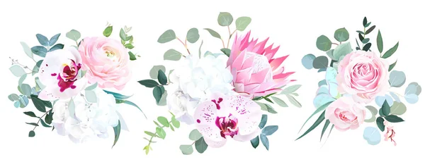 Pink Protea Ranunculus Rose Speckled Orchid White Hydrangea Eucalyptus Greenery — Stock Vector