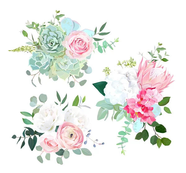 Proteínas rosadas, ranúnculos, rosas, hortensias blancas, eucaliptos sin semillas — Vector de stock