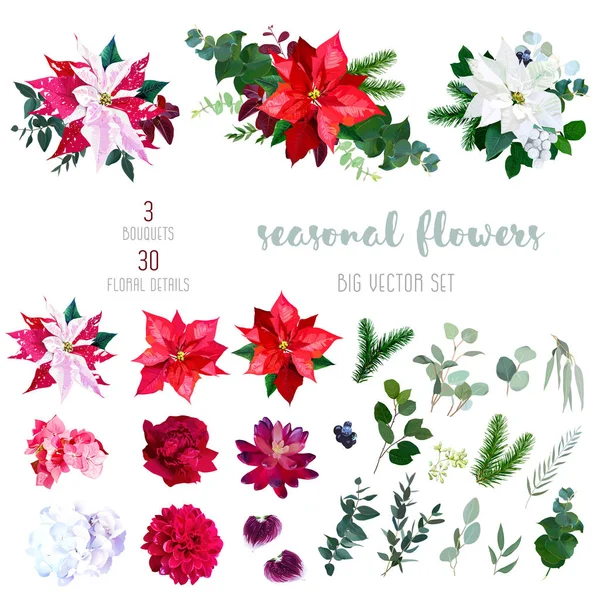 Rood, wit en Gemarmerde poinsettia bloemen, Hortensia, pioenroos, dah — Stockvector