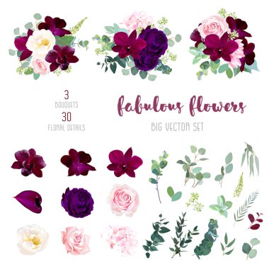 Mor bahçe gül, şarap rengi kırmızı orkide, pembe ve sarı gül, ortanca, marsala anthurium, numaralı seribaşı okaliptüs, yeşillik, succulents büyük vektör toplama. Tüm öğeleri izole ve düzenlenebilir.