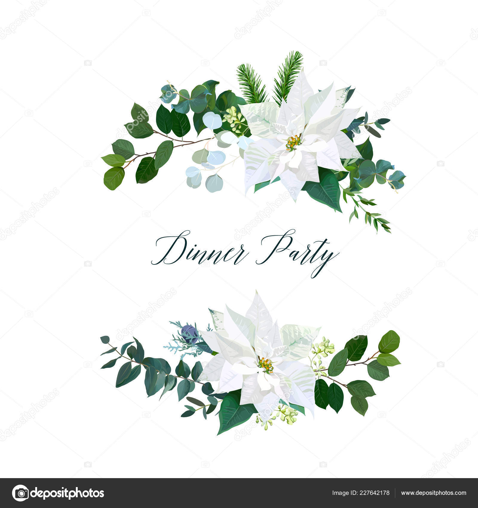 Download White poinsettia flowers, christmas greenery, emerald ...