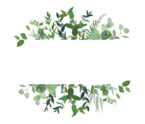 Horizontal botanical vector design banner. — Stock Vector