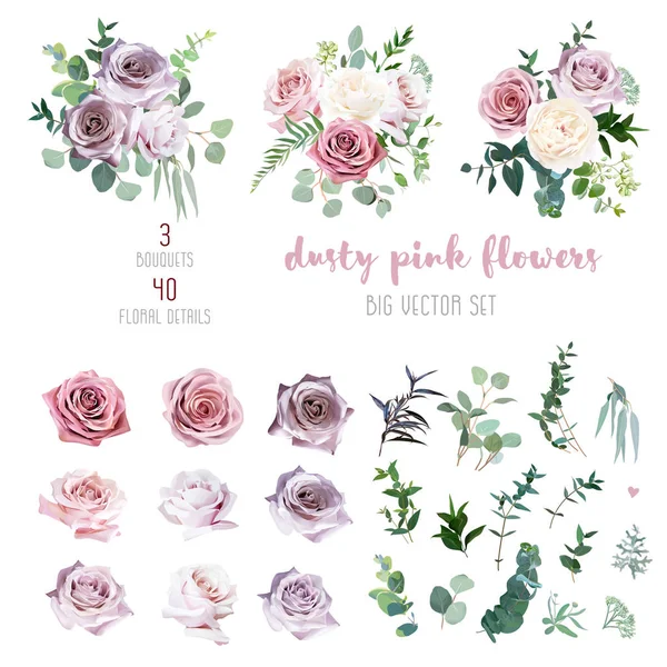 Rosa empoeirada e malva rosa antiga, flores lavanda e pálida, eucalipto —  Vetores de Stock