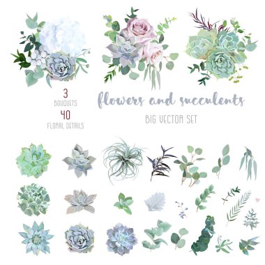 Echeveria, tillandsia mavi, gri, nane sulu, beyaz ortanca, soluk pembe gül