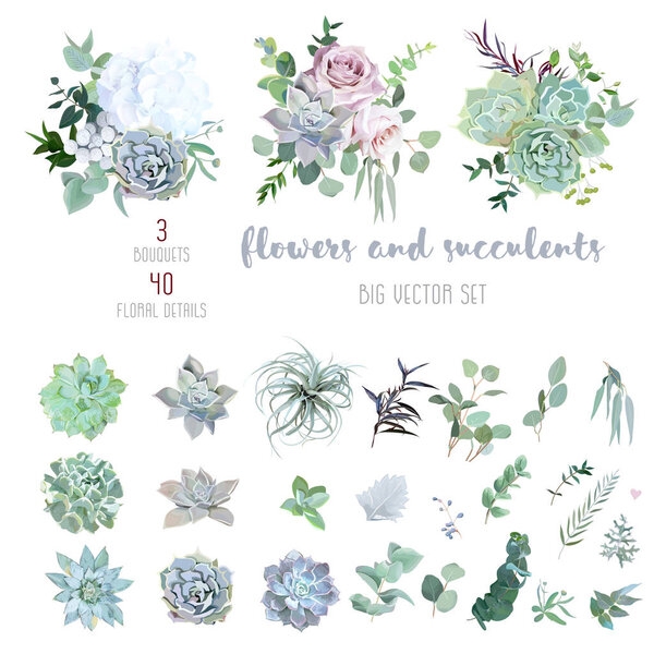 Echeveria, Tilandsia blau, grau, Minze Sukkulenten, weiße Hortensien, blassrosa Rose — Stockvektor