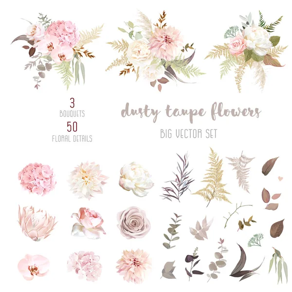 Dusty roze en ivoor beige roos, bleke hortensia, pioenbloem, varen, dahlia — Stockvector