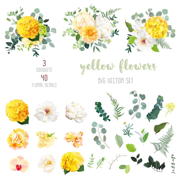 Hortensia jaune, rose moutarde, pivoine, iris blanc, orchidée, fleurs de jardin de printemps — Image vectorielle