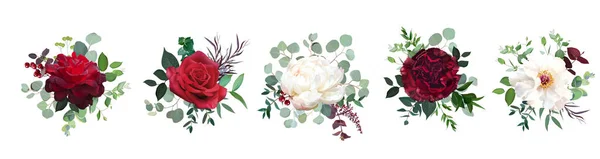 Burgundy kırmızı gül çiçekleri, beyaz fildişi şakayık, karanfil vektör tasarımı — Stok Vektör