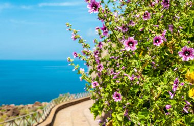 Castelsardo Bahar yakın Sardunya sahil yolunda