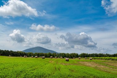 Balya saman ve bağ bahar bulutlu gökyüzü altında yatay alanın