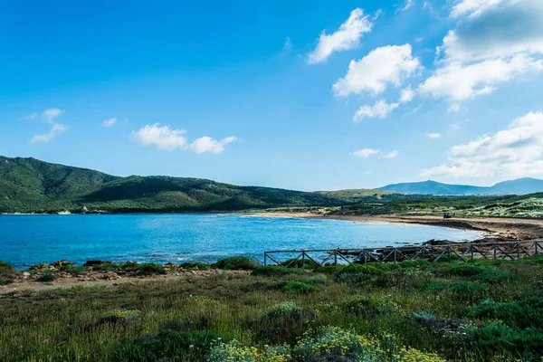 Pohled Pobřeží Sardinie Pláž Porto Ferro Pošmourné Ráno Letní — Stock fotografie