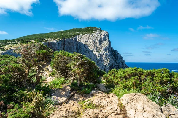 Skály Sardinském Pobřeží Slunečného Letního Dne — Stock fotografie