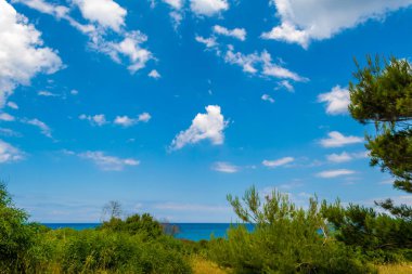 Bulutlar çam ormanı içinde yaz güneşli bir Sardunyalı Sahil yakınındaki
