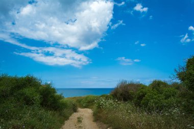 Bulutlar çam ormanı içinde yaz güneşli bir Sardunyalı Sahil yakınındaki