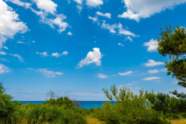 Bulutlar çam ormanı içinde yaz güneşli bir Sardunyalı Sahil yakınındaki