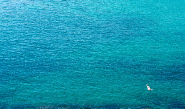 Homem Relaxa Água Cristalina Mar Sardenha Golfo Asinara — Fotografia de Stock