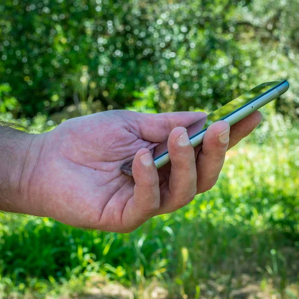 Närbild Manlig Hand Med Smartphone Trädgård Solig Dag — Stockfoto