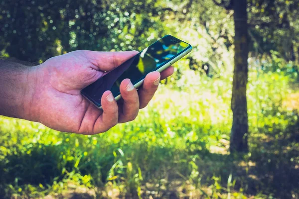 Närbild Manlig Hand Med Smartphone Trädgård Solig Dag — Stockfoto