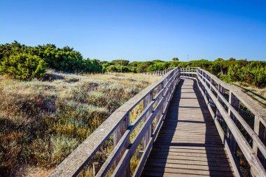 Sahilde ahşap podyum ına yazın güneşli günü