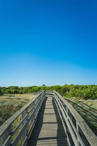 Wooden Catwalk Beach Ina Sunny Day Summer — Stock Photo, Image