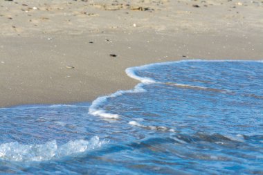 kristal berraklığında su su kenarında yaz sabahın