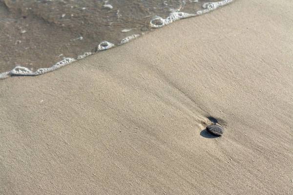 Acqua Sulla Spiaggia — Foto Stock