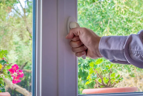 Erkek Bahçe Için Arıyorum Bir Beyaz Pencere Tanıtıcısı — Stok fotoğraf