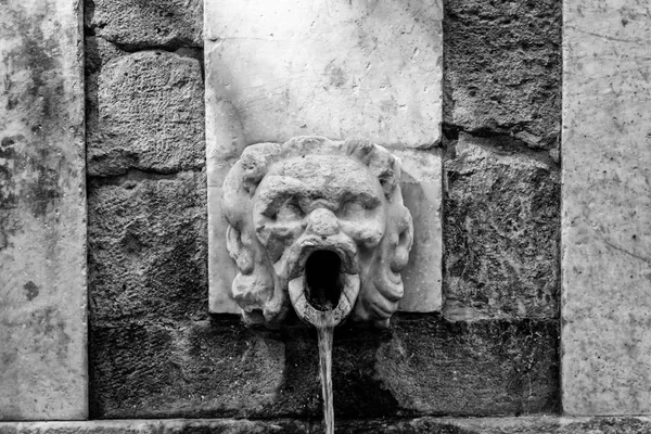 Detail Ancient Rosello Fountain Middle City Sassari Sardinia Black White — Stock Photo, Image