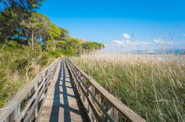 Bahar güneşli bir gölette yakınındaki ahşap yaya köprüsü