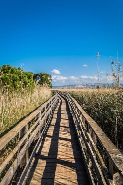 Bahar güneşli bir gölette yakınındaki ahşap yaya köprüsü