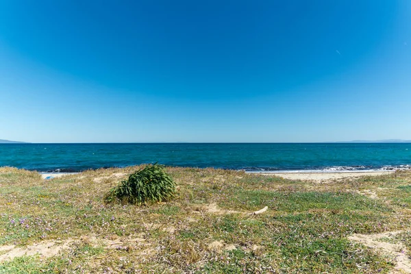 ビーチ近くの牧草地の風景 — ストック写真