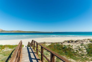 Sahile giden tahta patika.