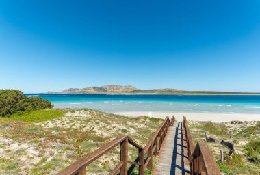 Sahile giden tahta patika.