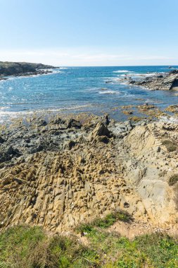 Sardunyalı sahil peyzaj