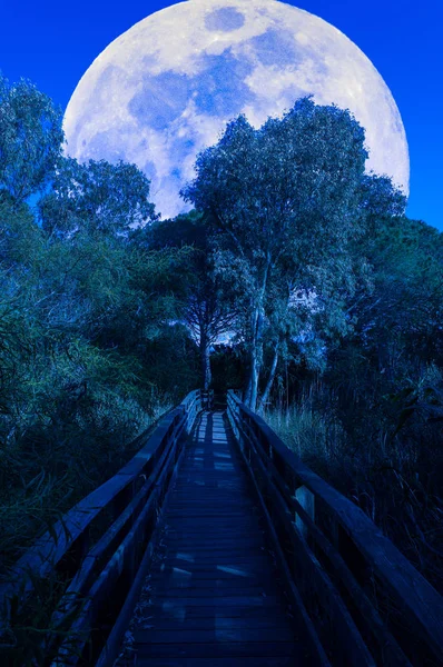 Holzsteg mit Supermond — Stockfoto