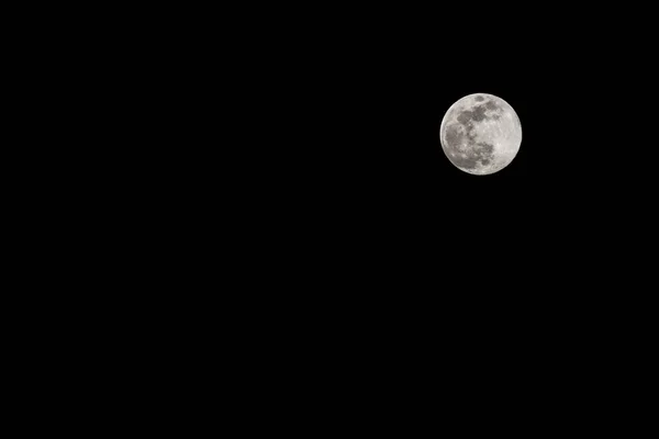 Super moon in black sky Stock Image