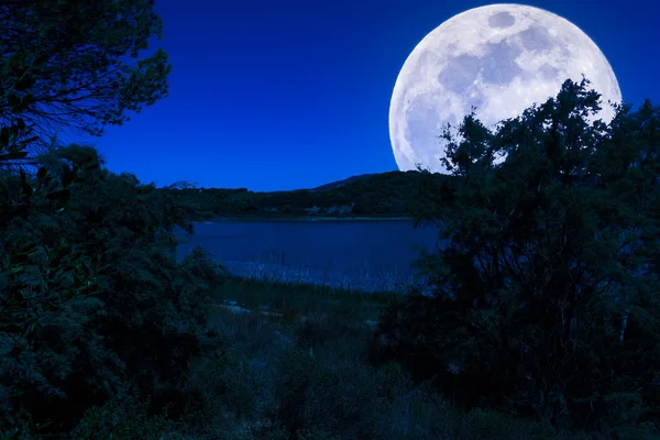 Paisaje en el lago por la noche — Foto de Stock