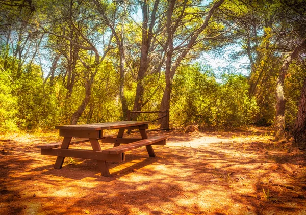 Picknicktisch im Wald — Stockfoto