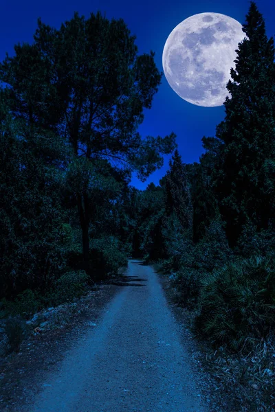 Camino de tierra en el bosque con super luna — Foto de Stock