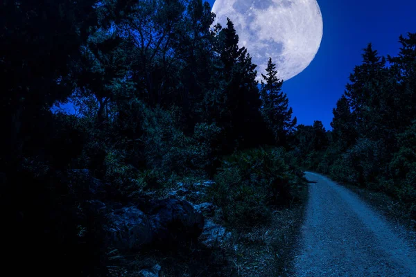 Camino de tierra en el bosque con super luna — Foto de Stock
