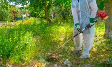 Fırça kesici kullanarak bahçıvan