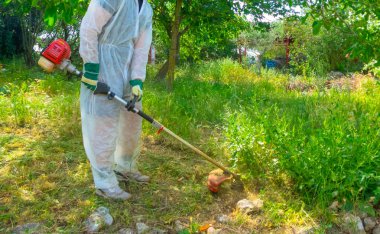 Fırça kesici kullanarak bahçıvan