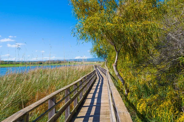 Trä sökväg i damm av Platamona — Stockfoto