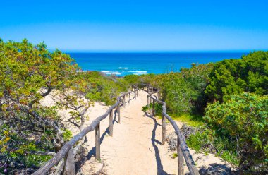 Sahilde denize doğru yol